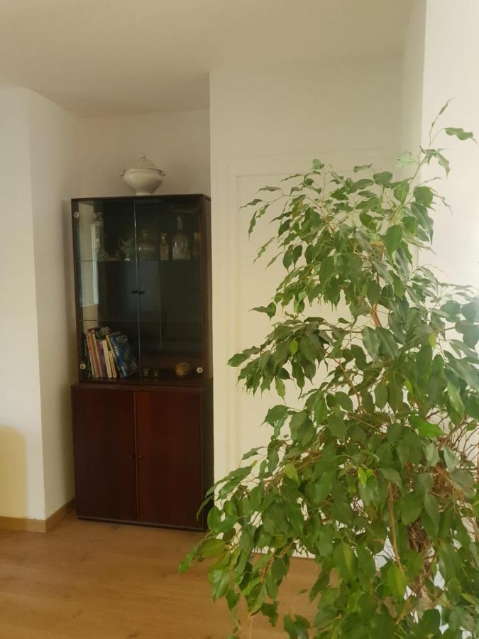 Appartement Cosy Parc Thermal Thonon-les-Bains Ngoại thất bức ảnh